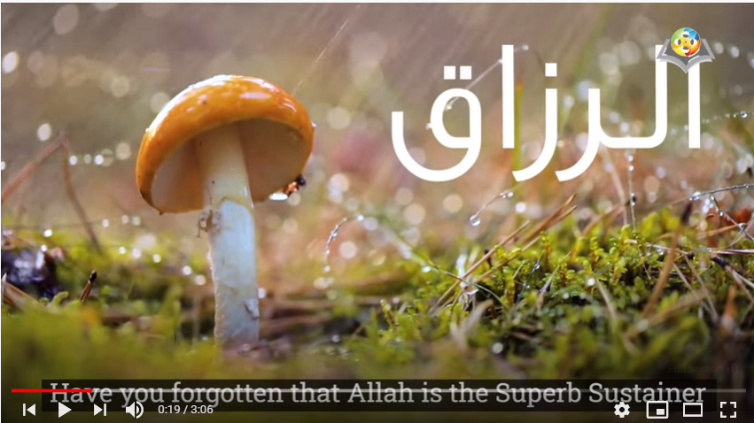 الرزاق