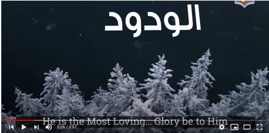 الودود